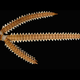 Illustration for article titled Antique Shark-Tooth Sword Reveals a Lost World